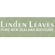 Linden Leaves